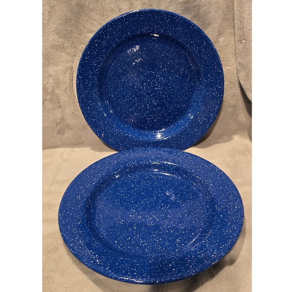 Vintage Blue Speckled Enamel Dinner Plates Set of 2 Outdoor Camping Dinnerware